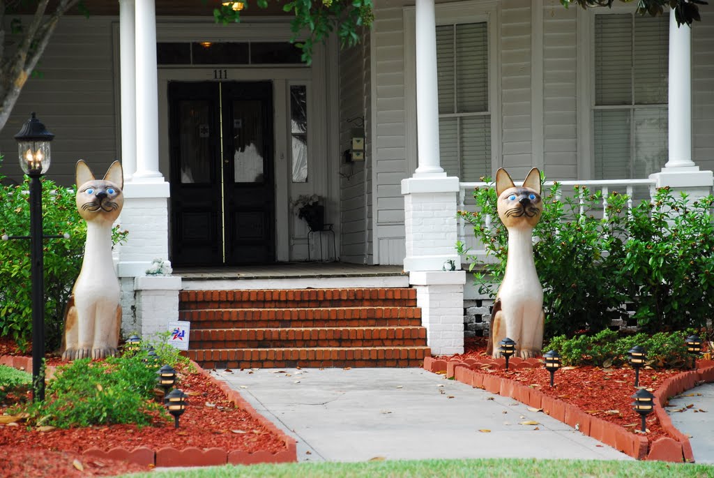 Cats on Duty