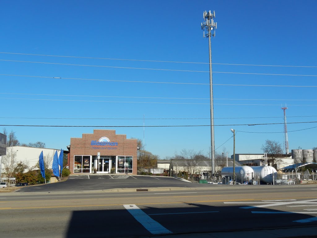 Blossom Gas Co.----st