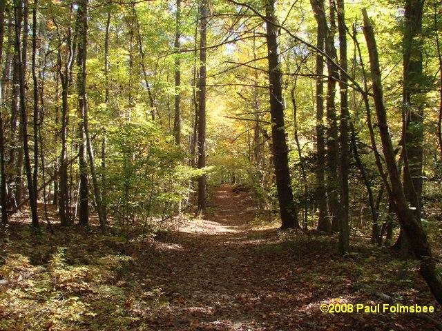 White Pines Nature Preserve