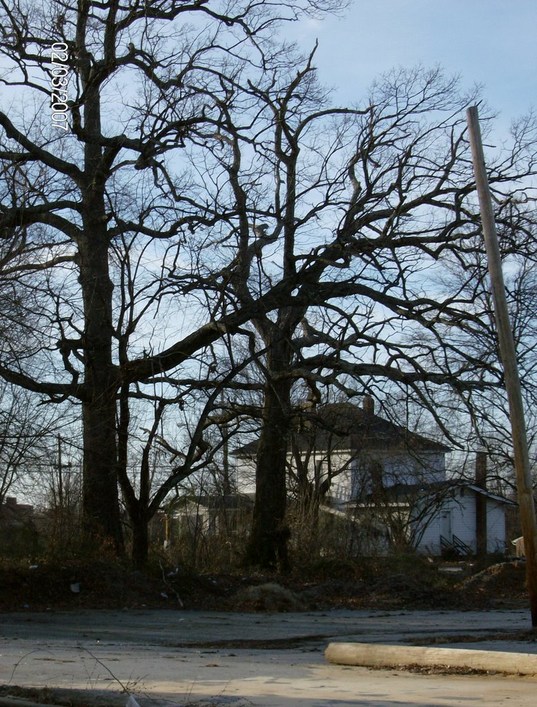 Winter "Halloween" scene looking west from South Main.
