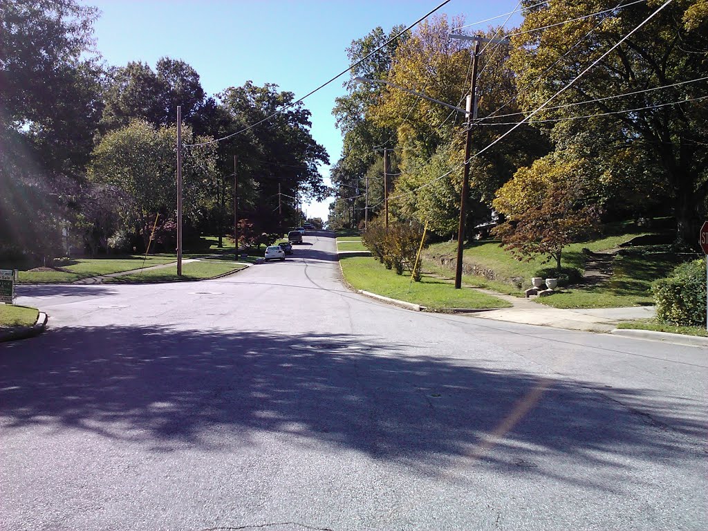 Looking Up Colonial Drive