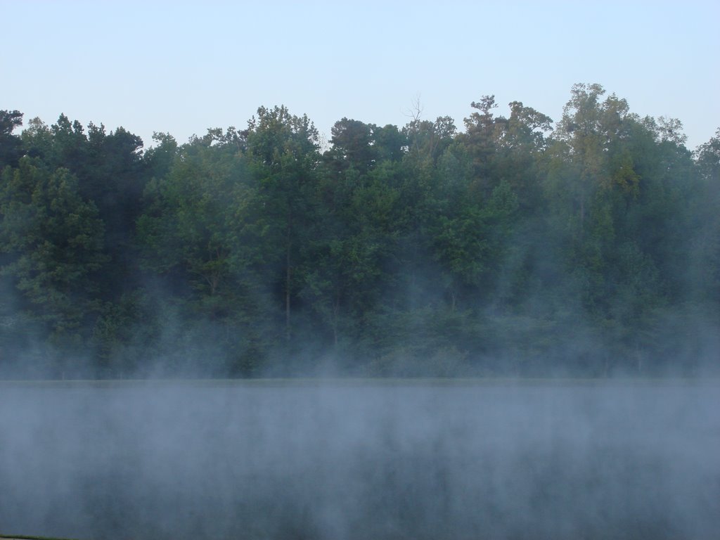 Morning Mist