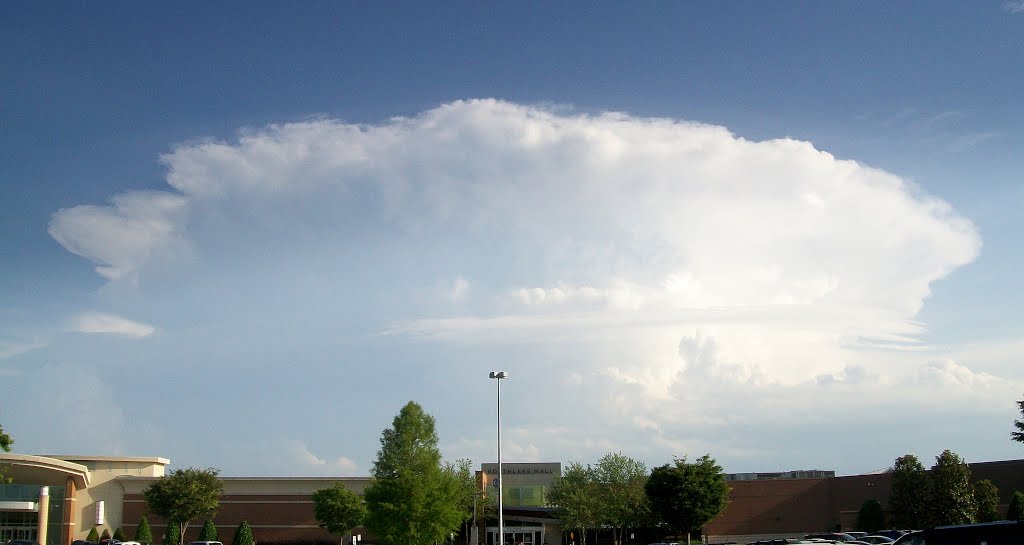 Thunderstorm Brewing