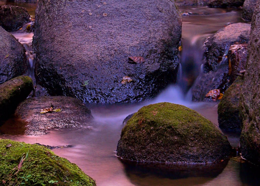 Revisiting Solitude