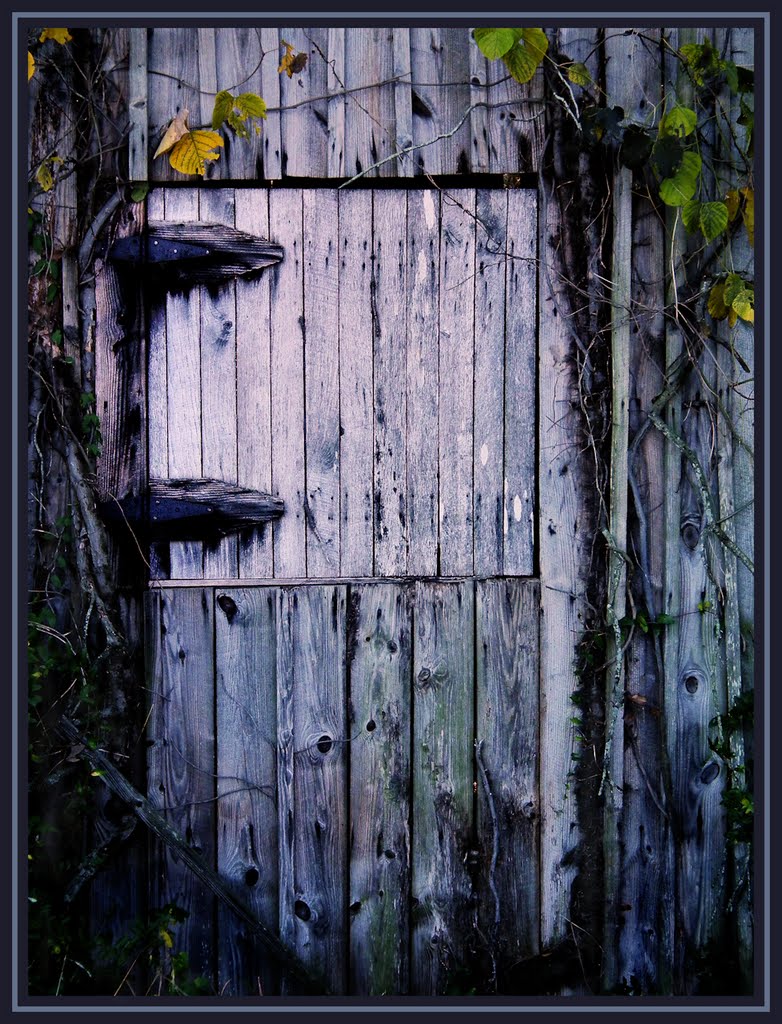 Childhood Hideaway