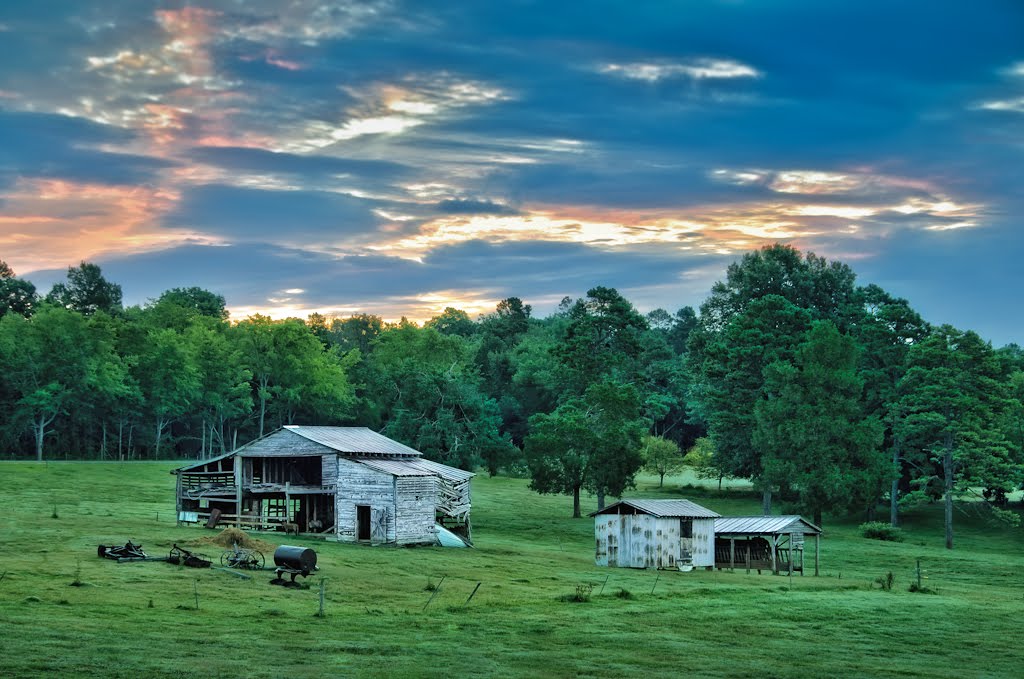 Dawn at the farm