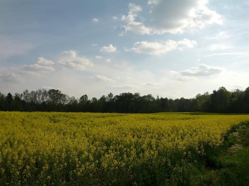 Happy Spring!
