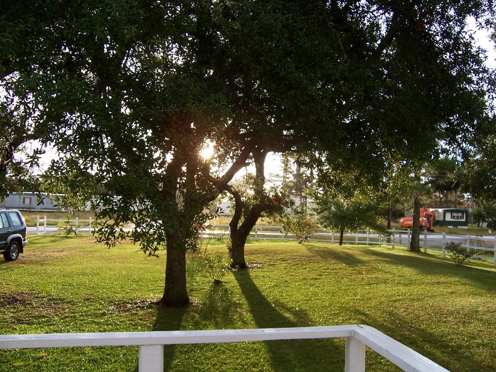 Harkers Island