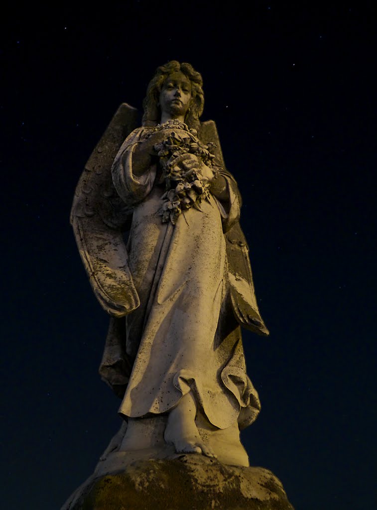 Grave Marker (see stars in background)