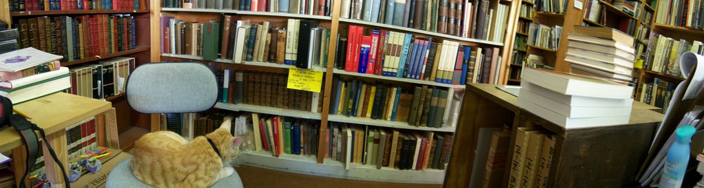 The Bookshop
