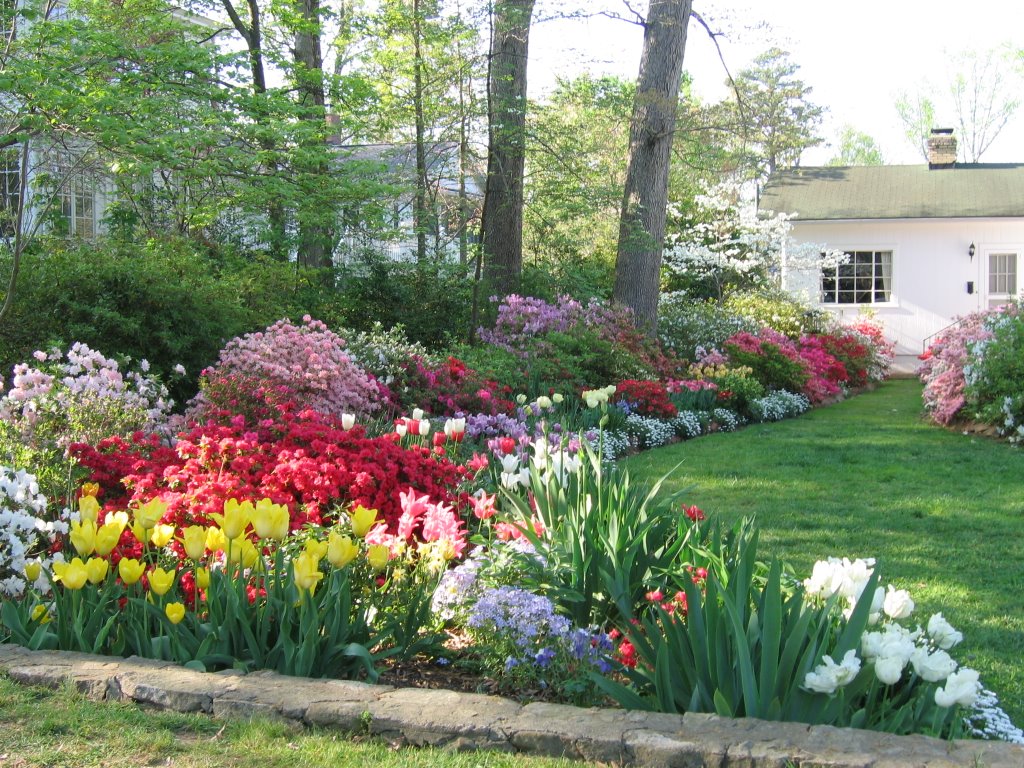 Springtime