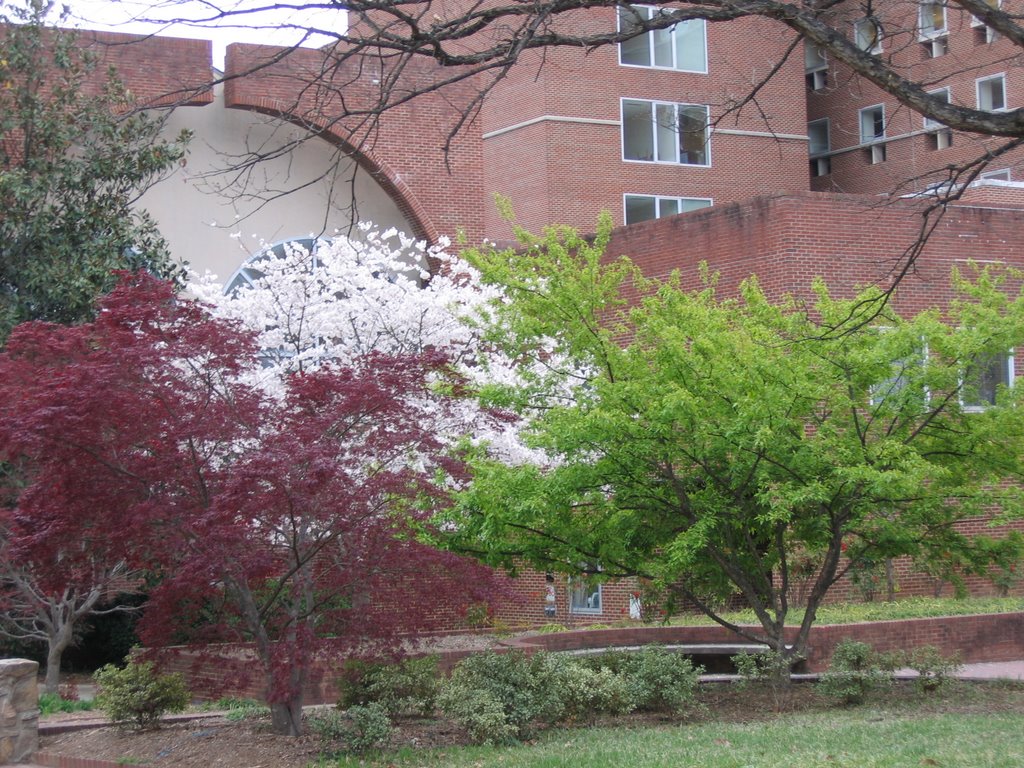 Outside Lenoir Dining Hall