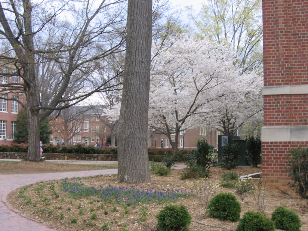 Outside Gardiner Hall