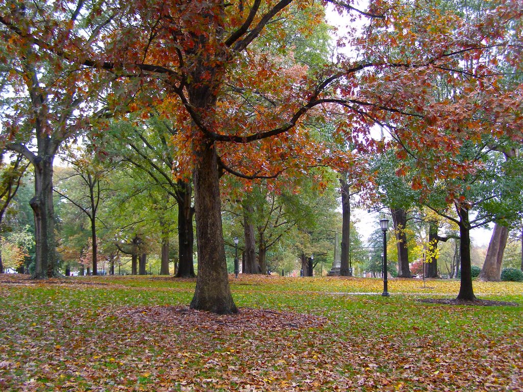 Rainy Day on the Quad, UNC-CH