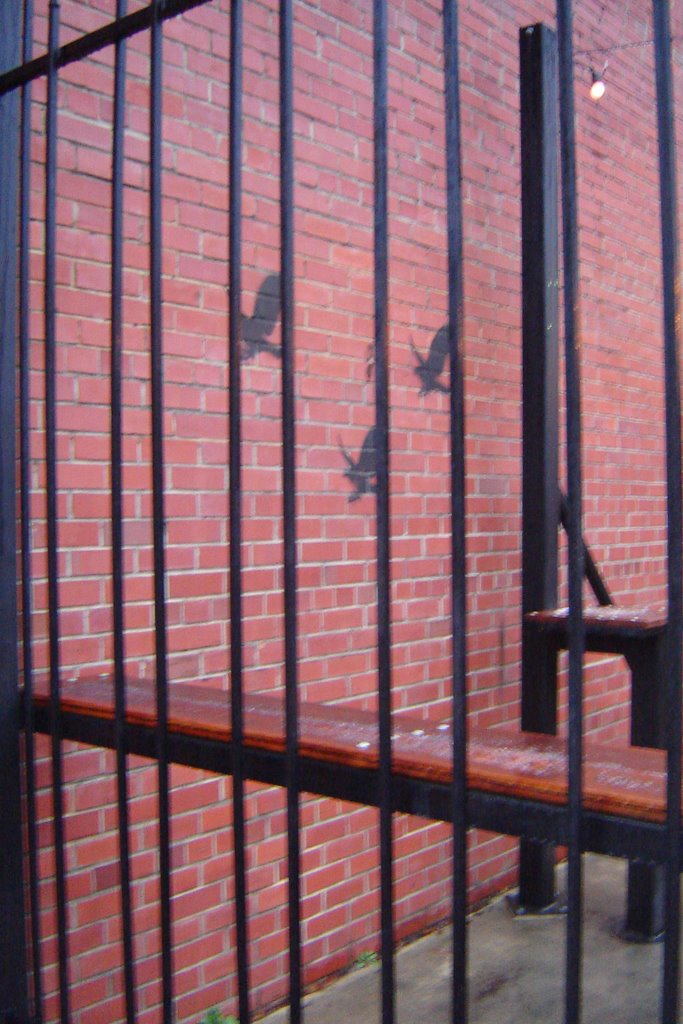 Caged Birds
