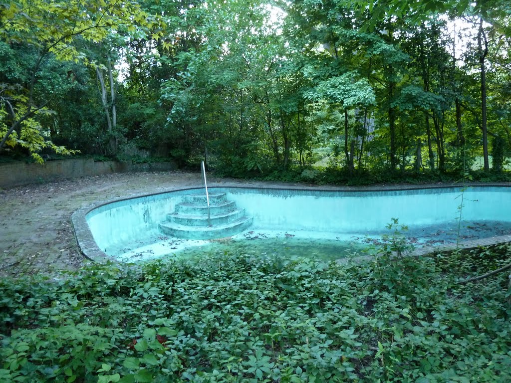 a warm summer evening, yet this long-abandoned swimming pool isnt open to anyone but mosquito larvae, 8-7-11