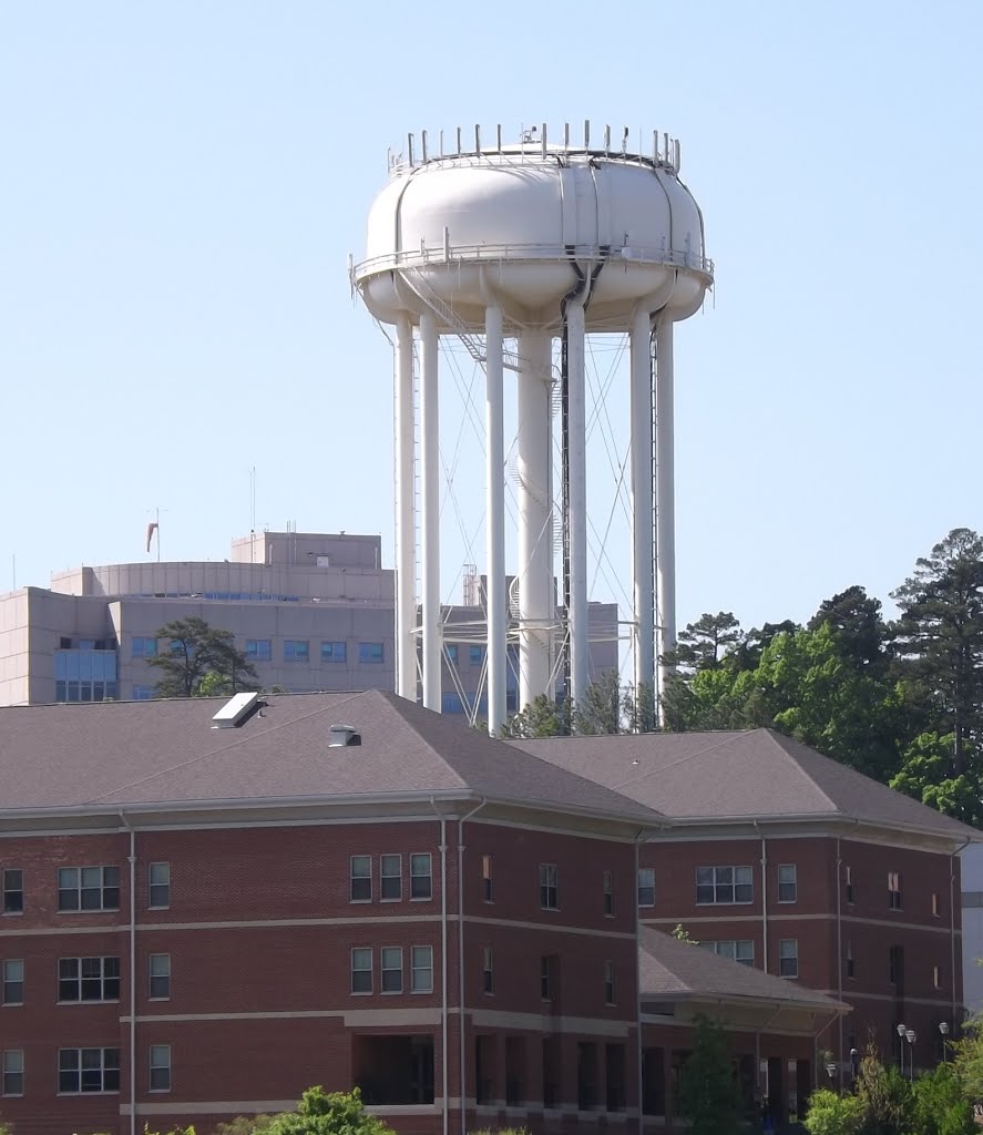 Chapel Hill WT---st