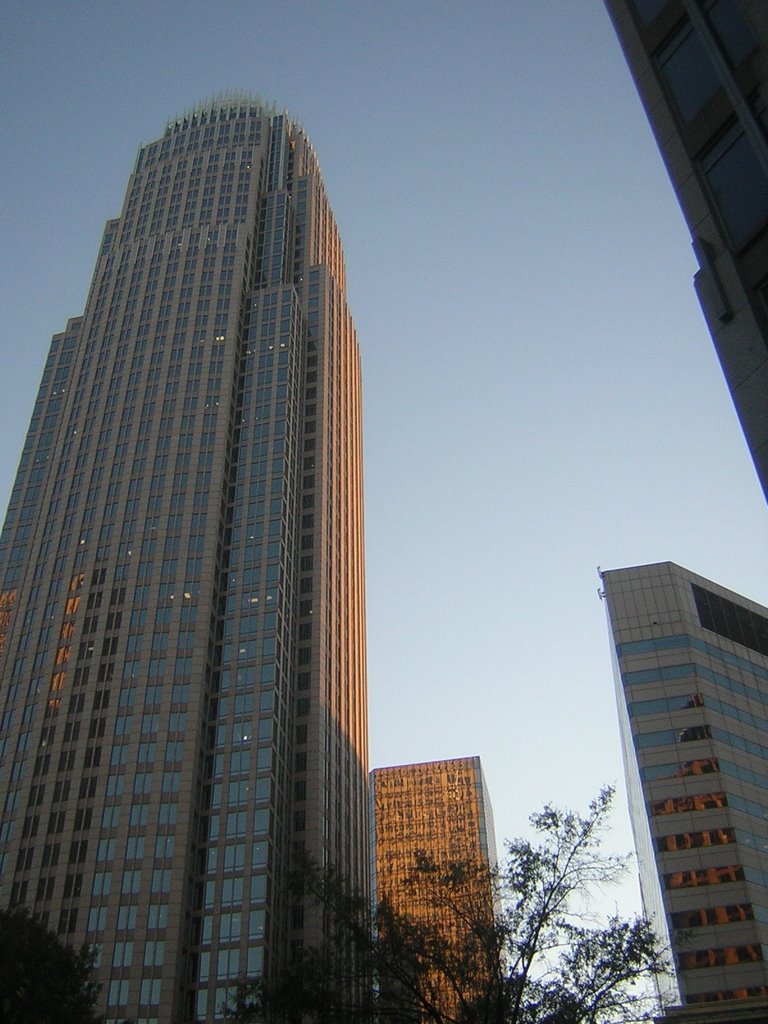 Bank Of America At Dusk 11-8-2008