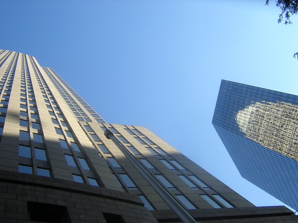 Looking Up At Bank Of America With Reflection