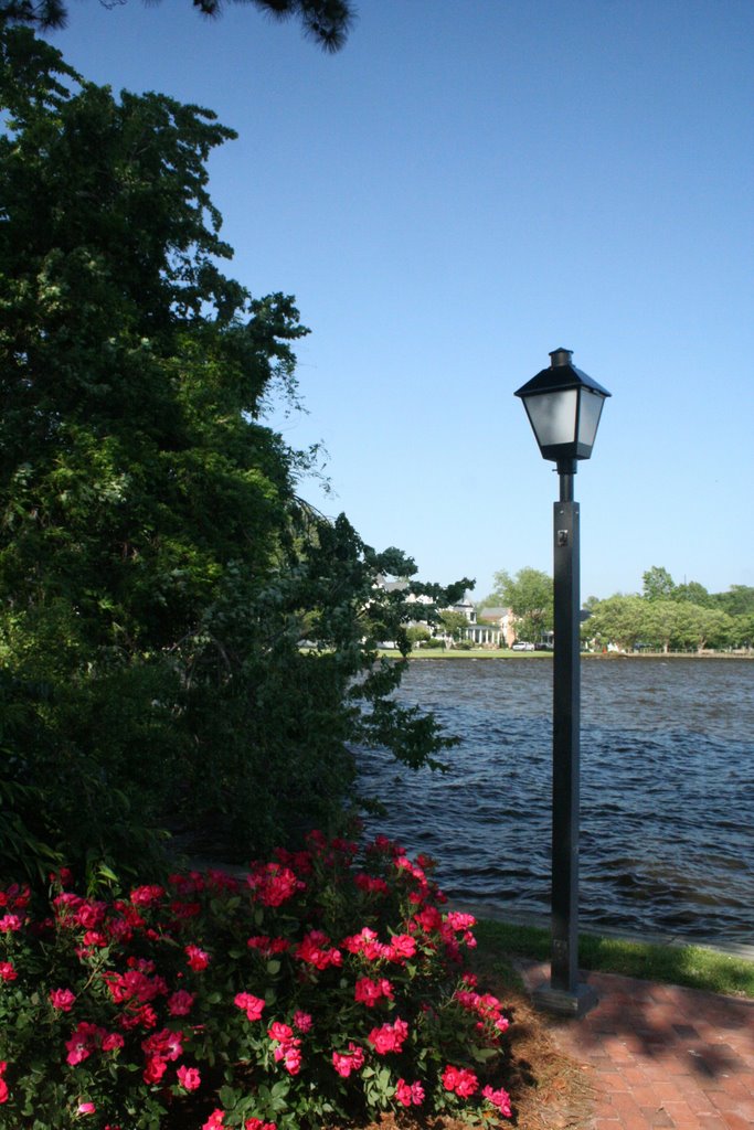 Edenton Bay