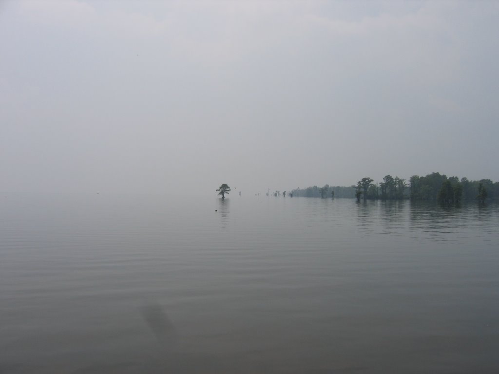 Edenton Haze