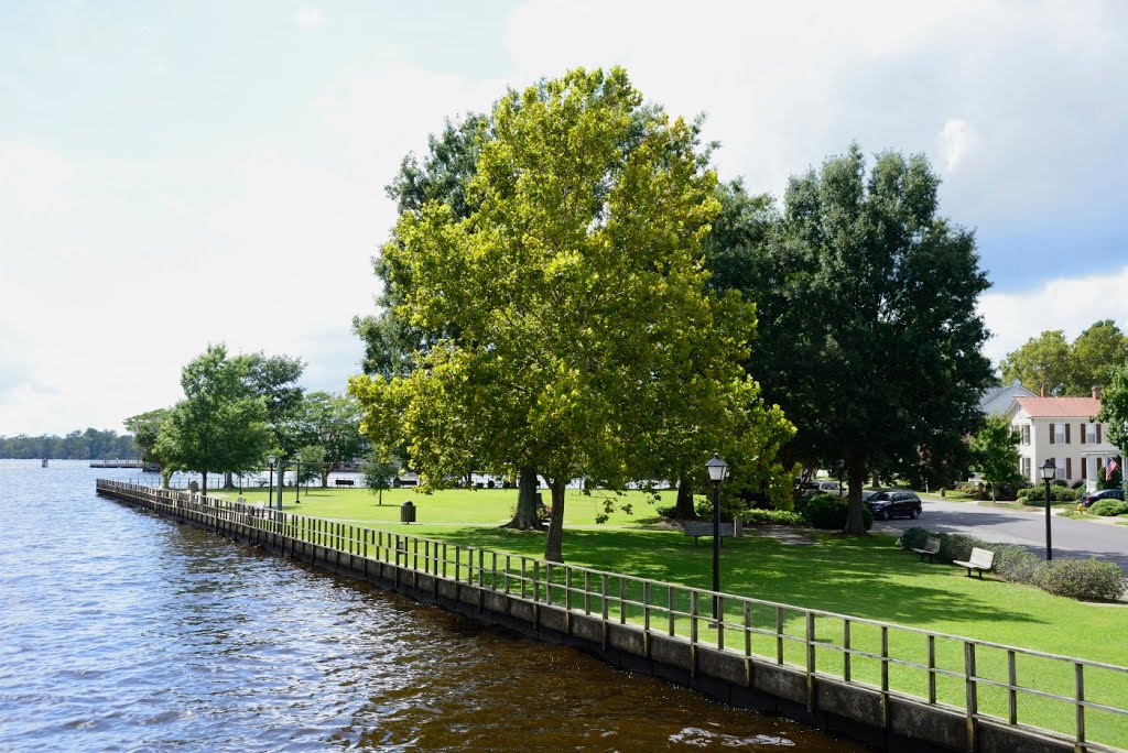 Bayside Park