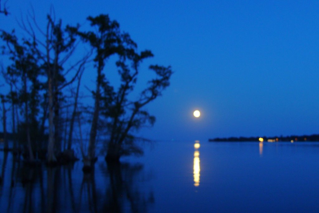 Moonrise on the Pasquotank
