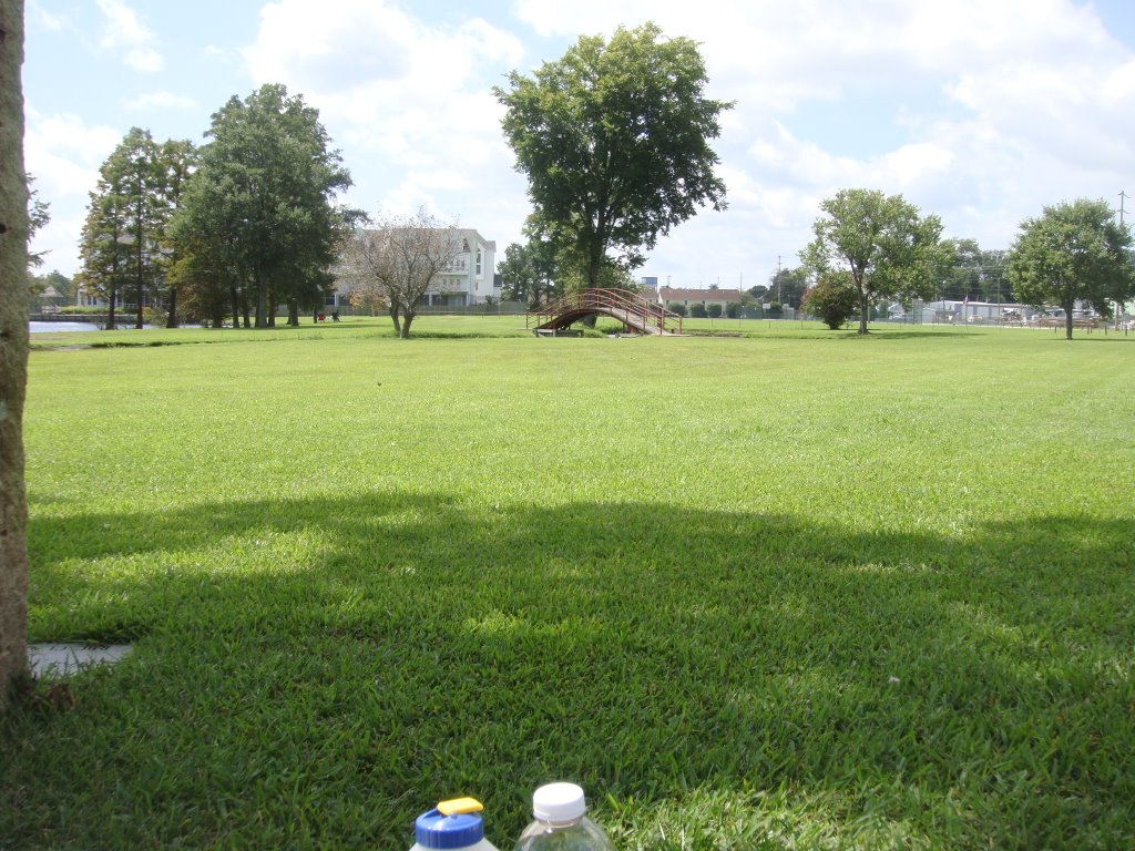 RBC Park