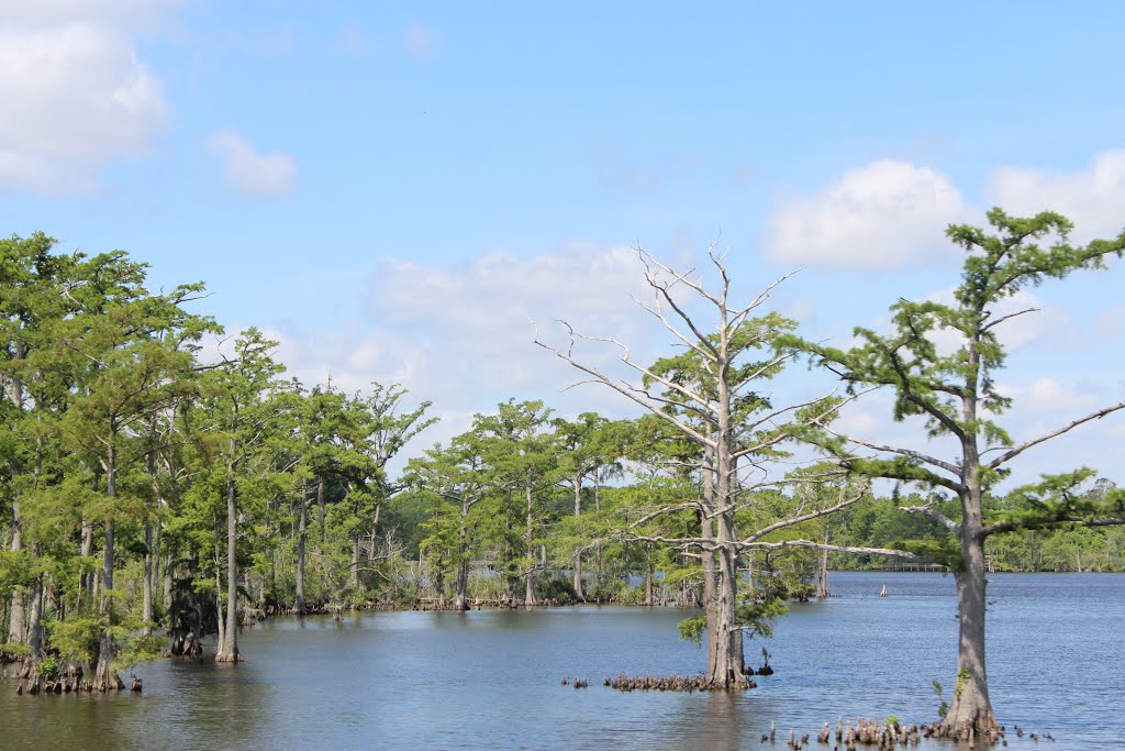 Elizabeth City,  Pasquotank River