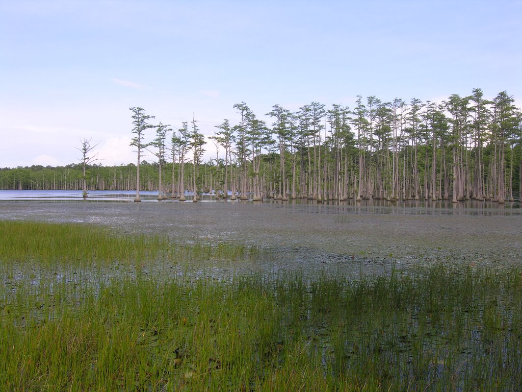 Goodale State Park