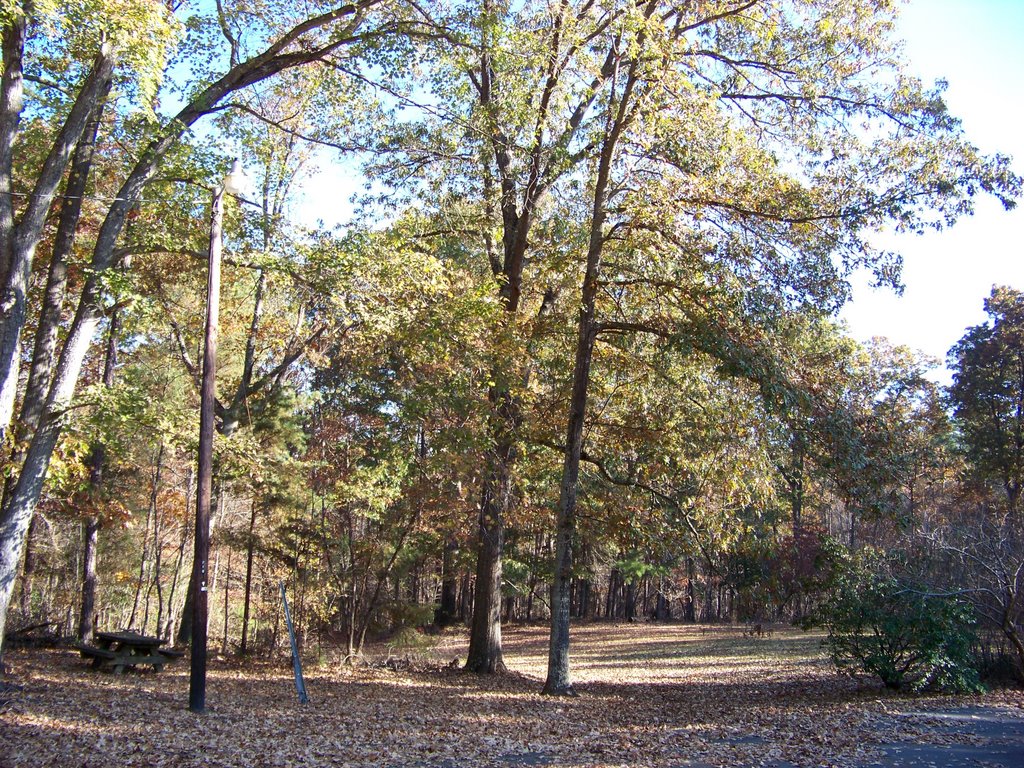 Uwharrie National Forest