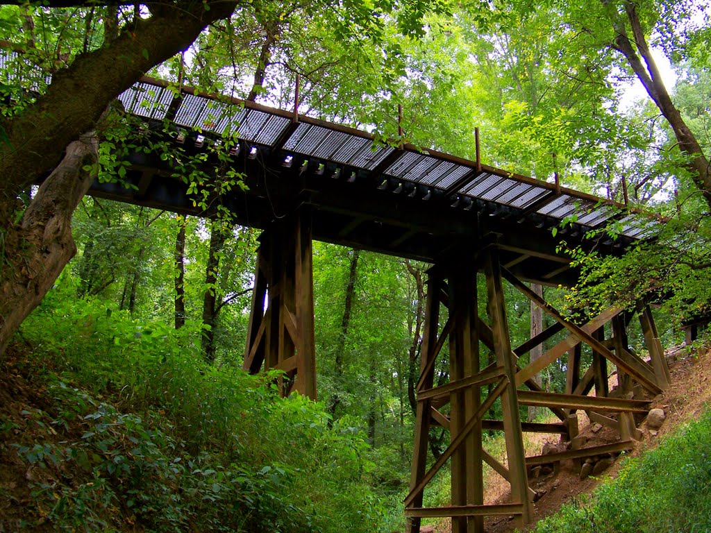 Aberdeen Carolina & Western Railway trestle runs alongside the Deep River