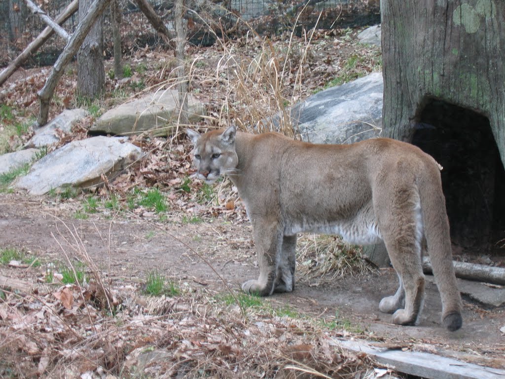 Franklinville