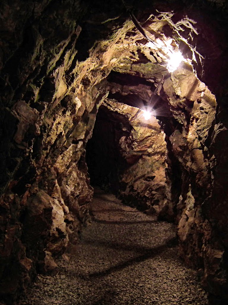Reed Gold Mine