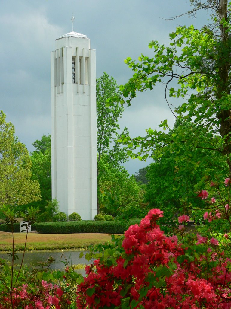 Laurel Hill