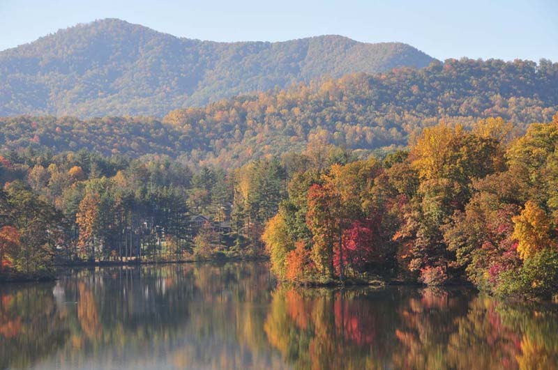 Biltmore Lake Views