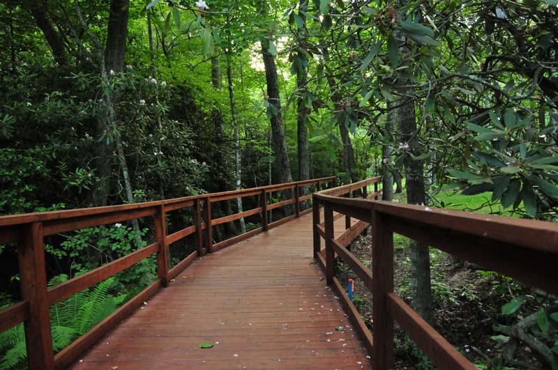 Biltmore Lake Trails