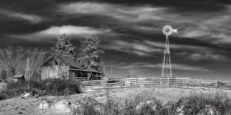 Down On The Farm, 2