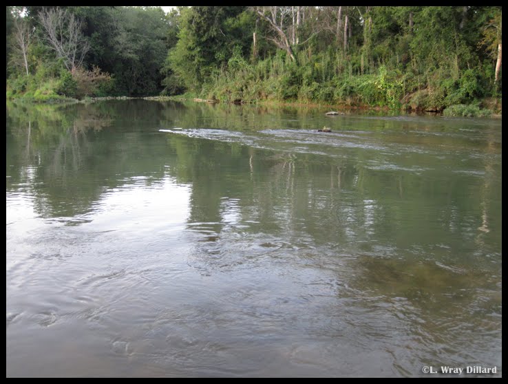 Creek Pools