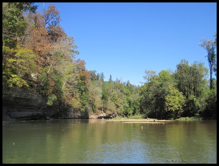 The Beautiful Shoals Creek