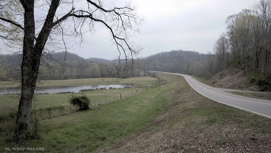 CR8 eastbound to Goose Shoals Bridge