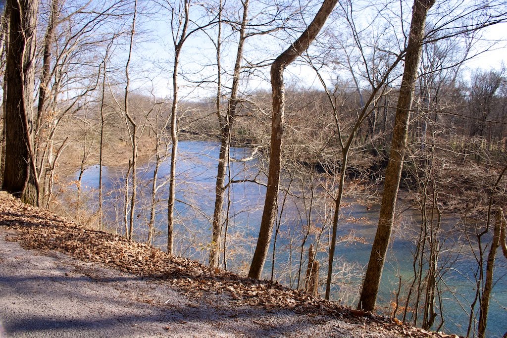 Shoal Creek off Railroad Road