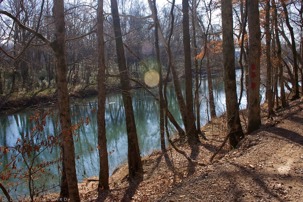 Shoal Creek off Railroad Road