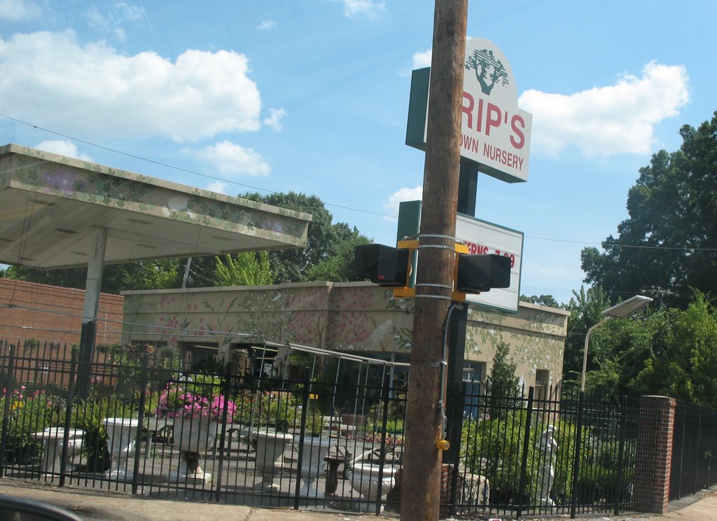 Trips Nursery