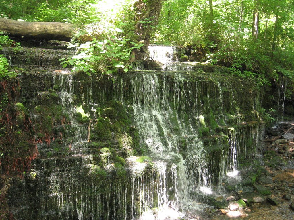 Normas Overlook at City Lake Natural Area