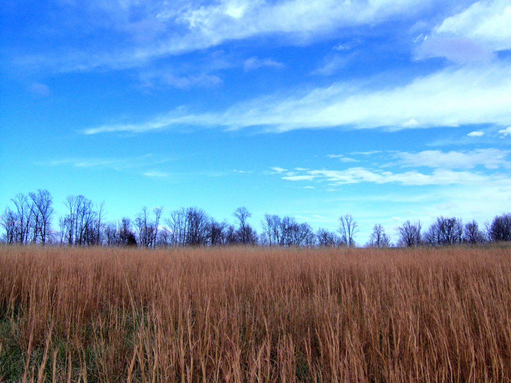 Tennessee Winter