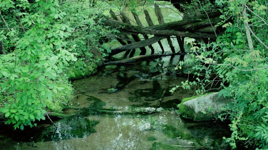 Hermitage Spring