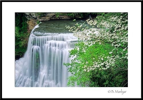 Springtime at Burgess Falls - lightontheland.com