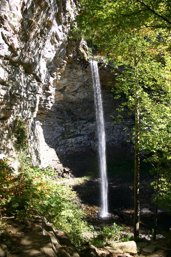 ozone falls TN