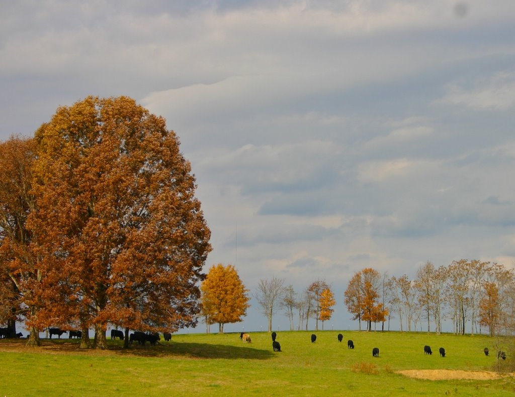 Crossville